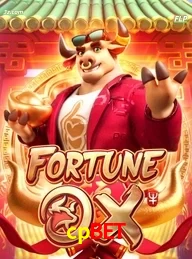 cpbet cassino online Brasil apresenta Fortune Ox jogo de slots